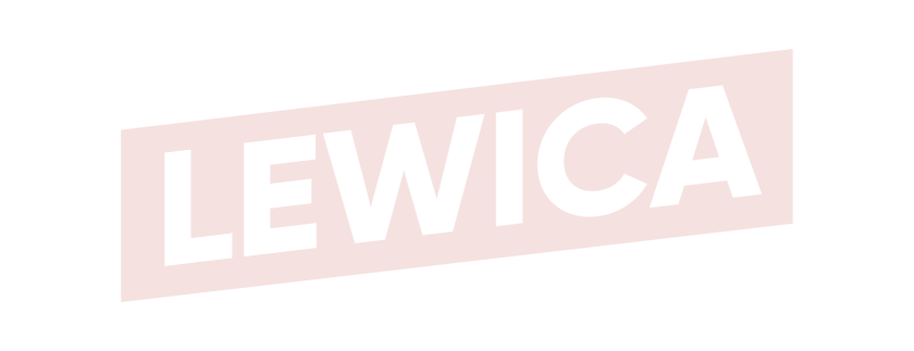 Program wyborczy KW Nowa Lewica - Nowa Lewica
